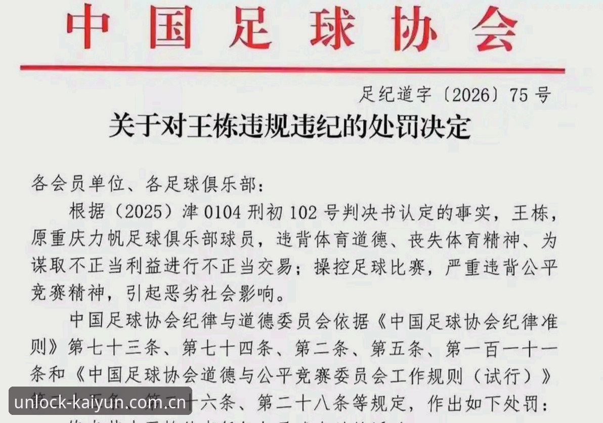 中国足协第三批禁足名单深度解析教程：从足球反腐看体育公正